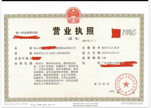 顺德塑料制品公司新手指南 依托国内贸易代理完成公司注册全流程