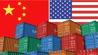 上海国内贸易代理 机遇与挑战并存的区域经济支柱