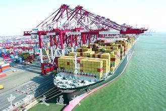 茂名至莆田内贸船运集装箱专线 广州睿航货运代理助力国内贸易